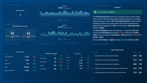 Facebook Page Insights